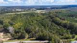 44 Acres Tall Oak Trail - Photo 3