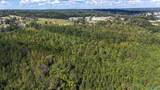 44 Acres Tall Oak Trail - Photo 7