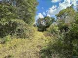 44 Acres Tall Oak Trail - Photo 9