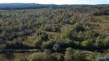 37 Acres-3124 County Road 6 - Photo 11