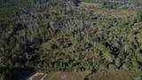 37 Acres-3124 County Road 6 - Photo 3