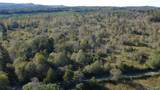 37 Acres-3124 County Road 6 - Photo 8