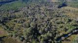 37 Acres-3124 County Road 6 - Photo 9