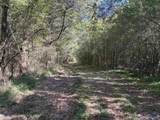 56+/- ac County Road 96 - Photo 29