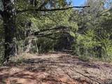 56+/- ac County Road 96 - Photo 31