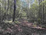 56+/- ac County Road 96 - Photo 32