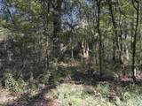 56+/- ac County Road 96 - Photo 35