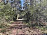 56+/- ac County Road 96 - Photo 37
