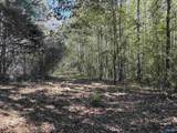 56+/- ac County Road 96 - Photo 40