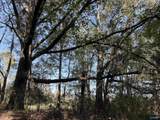 56+/- ac County Road 96 - Photo 41