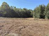 56+/- ac County Road 96 - Photo 42