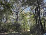56+/- ac County Road 96 - Photo 47