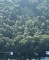 6.48 Acres Signal Point Road - Photo 20