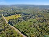 29.1 acres County Highway 73 - Photo 13