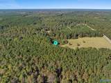 29.1 acres County Highway 73 - Photo 9