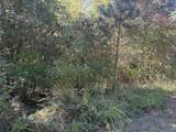 Lot 122 Lookout Mountain Drive - Photo 12