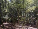 Lot 122 Lookout Mountain Drive - Photo 6