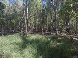 Lot 122 Lookout Mountain Drive - Photo 8