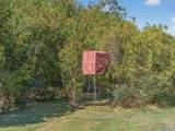 3685 Cathedral Caverns Road - Photo 34