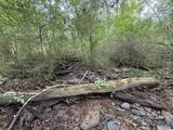 6.94 Acres Brown Road - Photo 10