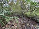 6.94 Acres Brown Road - Photo 11