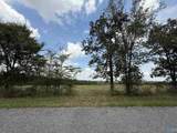 6.94 Acres Brown Road - Photo 15