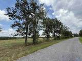 6.94 Acres Brown Road - Photo 17