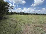 6.94 Acres Brown Road - Photo 18