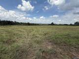 6.94 Acres Brown Road - Photo 19