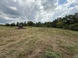 6.94 Acres Brown Road - Photo 21