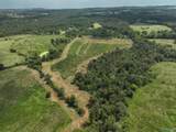 6.94 Acres Brown Road - Photo 6