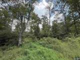 6.94 Acres Brown Road - Photo 8