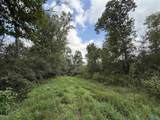 6.94 Acres Brown Road - Photo 9
