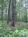 21 acres Pleasant Country Road - Photo 4