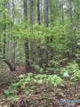 21 acres Pleasant Country Road - Photo 6