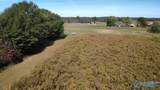 3 acres Alabama Highway 75 - Photo 6
