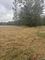 8 acres County Road 301 - Photo 4