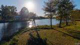 Lot 36 County Road 115 - Photo 6