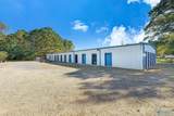 40280 Alabama Highway 75 - Photo 6