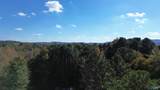 250 Wildcat Woods - Photo 12
