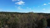 250 Wildcat Woods - Photo 13