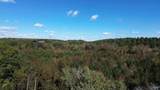 250 Wildcat Woods - Photo 14