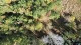 250 Wildcat Woods - Photo 17