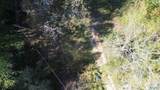 250 Wildcat Woods - Photo 5