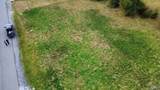 Lot 2 Edgewood Street - Photo 6