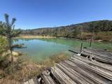 116 ACRES Lay Springs Road - Photo 5