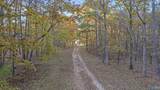 10.57 acres County Road 166 - Photo 12
