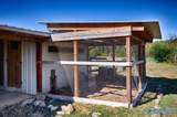 357 Cabbage Patch Road - Photo 44