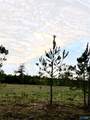 Lot 11 County Road 39 - Photo 1