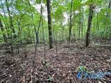 3.78 Acres Flicker Way - Photo 2